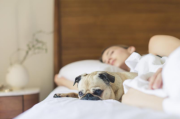 东宝床垫提醒：别让这几个坏习惯影响睡眠
